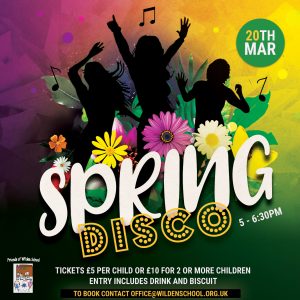 Wilden Spring Disco Flyer